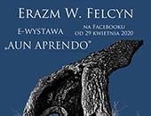 E-wystawa Erazma Wojciecha Felcyna w albumie na Facebooku