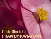 Wystawa fotografii Piotra Bieńka „Prawdy kwiatowe” w Krakowie