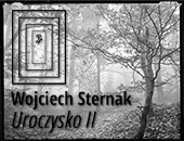 Wystawa Wojciecha Sternaka „Uroczysko II” w toruńskiej galerii ZPAF
