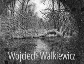 Wojciecha Walkiewicza „Wielki wybuch” i „ZamrozY” w Galerii Pusta cd.