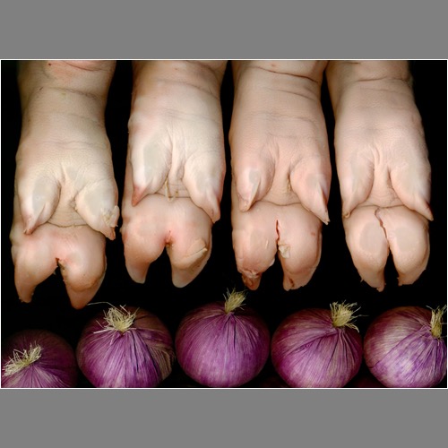 Loading Image