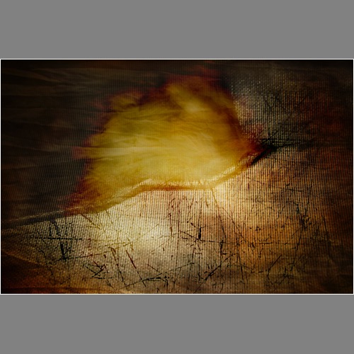 Loading Image