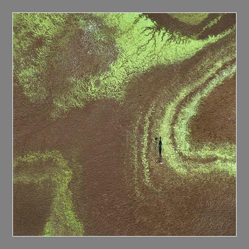 Loading Image