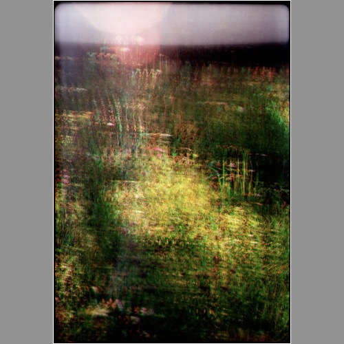 Loading Image