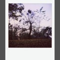Lubiewo [5]