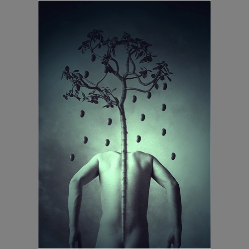 Loading Image
