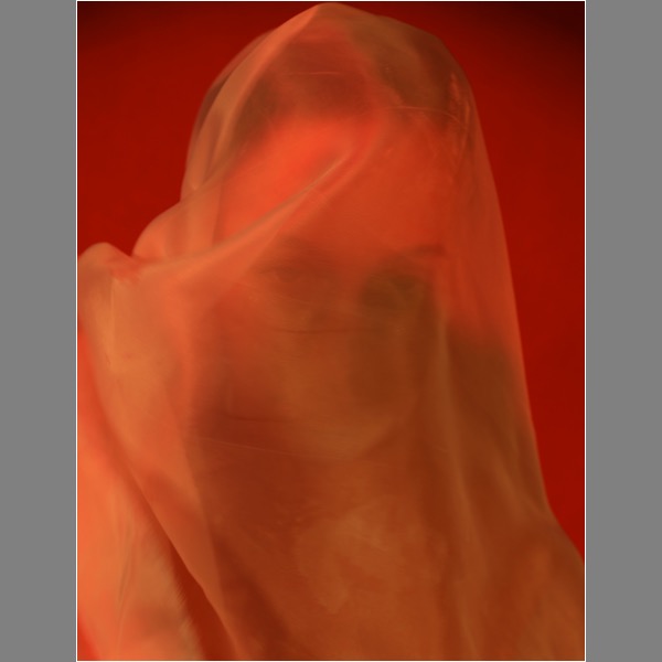 Loading Image