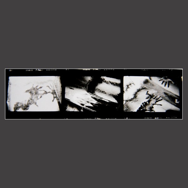 Loading Image