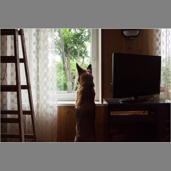 Loading Image