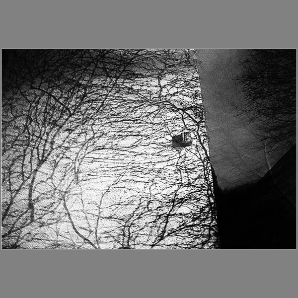 Loading Image