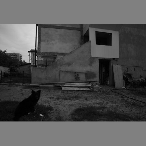 Loading Image