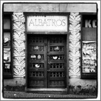Albatros