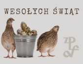 Dla członków Związku, słuchaczy, miłośników fotografii, sympatyków i przyjaciół...