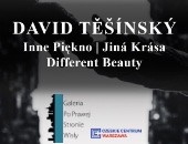 David Těšínský | „Inne piękno” - wystawa fotografii po prawej stronie Wisły