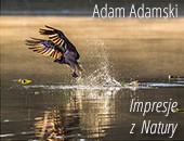 Adama Adamskiego „Impresje z Natury” w Galerii Łódzkiego Okręgu ZPAF