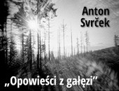  „Opowieści z gałęzi” Antona Svrčka z Karwiny w jastrzębskiej Galerii Ciasna