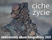 Elektroniczny album fotograficzny „Ciche życie” powstały w okresie pandemii