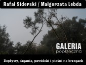 Dopływy, drgania, powidoki i pieśni na brzegach w Miechowie