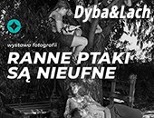 Dyba&Lach | wystawa „Ranne ptaki są nieufne” w Nadbałtyckim Centrum Kultury