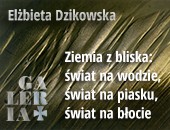 Wystawa i spotkanie z Elżbietą Dzikowską w Galerii Fotografii Miasta Rzeszowa