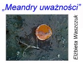 Wystawa fotografii Elżbiety Waszczuk w kołobrzeskiej San Gallery