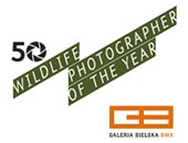 Fotografia Dzikiej Przyrody 2014 w Galerii Bielskiej BWA