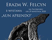 E-wystawa Erazma Wojciecha Felcyna w albumie na Facebooku