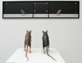Wystawa „Foto-obiekt“ w łódzkiej Galerii Imaginarium
