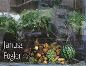 Wystawa Janusza Foglera „Fotografie wybrane” w Galerii Fotografii B&B
