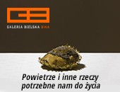 „Powietrze i inne rzeczy potrzebne nam do życia” w Galerii Bielskiej BWA