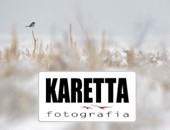 Wystawa fotografii Marcina Karetty „Z przyrodą na ty” w Rybniku