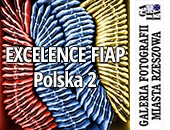 Wystawa "Excellence FIAP Polska 2" w Galerii Miasta Rzeszowa
