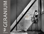 „GERANIUM” - wspólna wystawa sześciu artystek w krakowskiej galerii