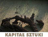 Wystawa Okręgu Świętokrzyskiego ZPAF „Kapitał sztuki” w Rzeszowie