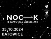 Fotograficzne wydarzenia  X Katowickiej Nocy Galerii 2024