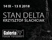 Krzysztofa Ślachciaka „STAN DELTA” - wystawa w łódzkiej Galerii FF