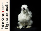 Wystawa Robby'ego Cyrona „Figura animalis” w 6x7 Leica Gallery Warszawa