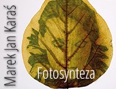 Marka Jana Karasia pt. „Fotosynteza” w DCF Domek Romański