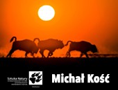 Michał Kość gościem XVI edycji Festiwalu „Sztuka Natury” w Toruniu