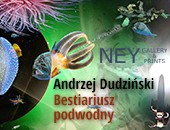 Andrzeja Dudzińskiego „Bestiariusz podwodny” w NEY Gallery & Prints