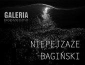 Wystawa fotografii Karola Bagińskiego „Niepejzaże” w Miechowie