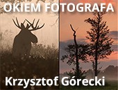 Grudniowe spotkanie z cyklu „Okiem fotografa” na Grochowie - Krzysztof Górecki