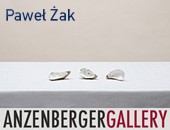 Paweł Żak wystawia swoje prace w wiedeńskiej Anzenberger Gallery
