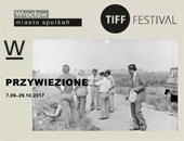 Wspólnie tworzona wystawa pt. „Przywiezione” w ramach TIFF Festival // Zasoby