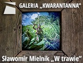 Wystawa Sławomira Mielnika „W trawie” w galerii pośród lasu…