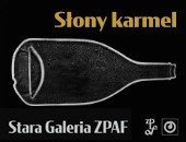 Zapraszamy na zbiorową wystawę „Słony karmel” do Starej Galerii ZPAF