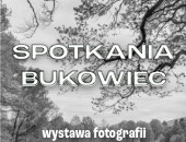 Poplenerowa wystawa fotografii w Pałacu w Bukowcu