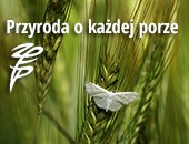 „Przyroda o każdej porze” - wystawy mazowieckiego ZPFP w Suchej Beskidzkiej