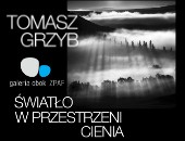 Tomasza Grzyba „Światło w przestrzeni cienia” teraz w Galerii Obok ZPAF