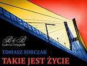 Wystawa Tomasza Sobczaka „Takie jest życie” w Galerii Fotografii B&B